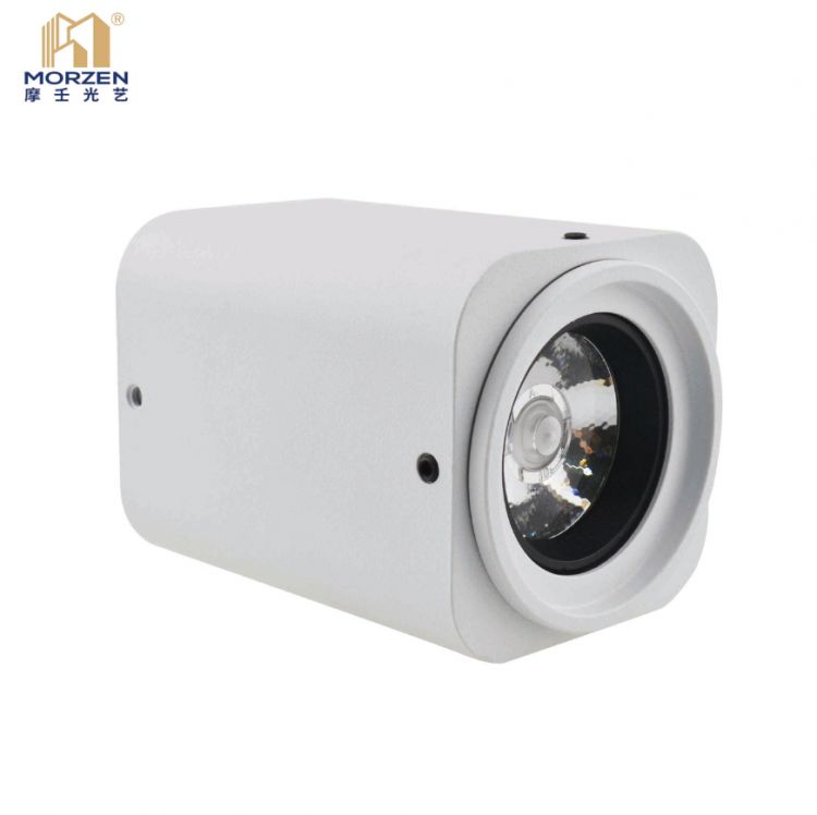 Surface Mounted Spotlight Model：RH Series