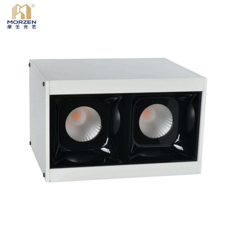 Surface Mounted Grill Light Model：DY Series
